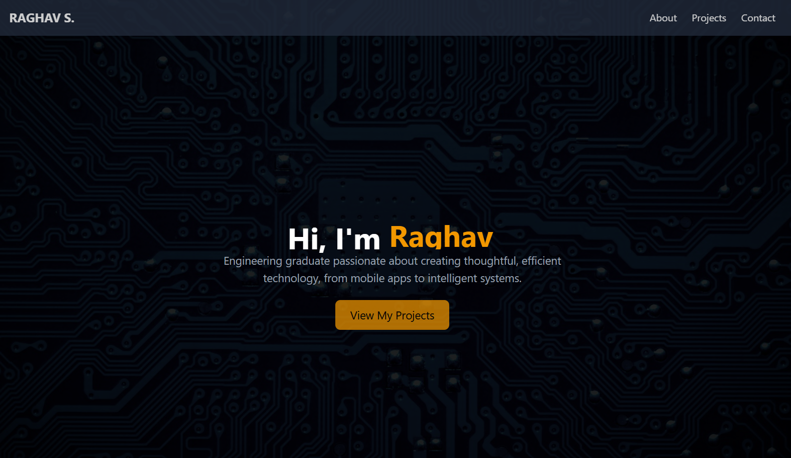 Portfolio Project